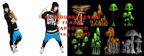 винт Аркадак