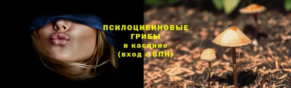 дмт Армянск