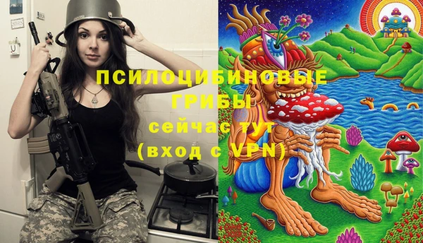 дмт Армянск