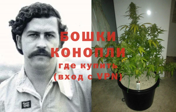 каннабис Алзамай